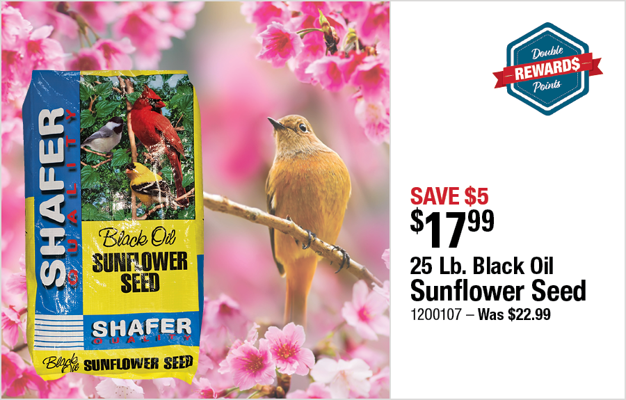 25 Lb. Black Oil Sunflower Seed